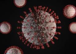 Le peuple microbien