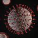 Le peuple microbien