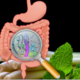 candidose digestive diagnostic traitement CMH